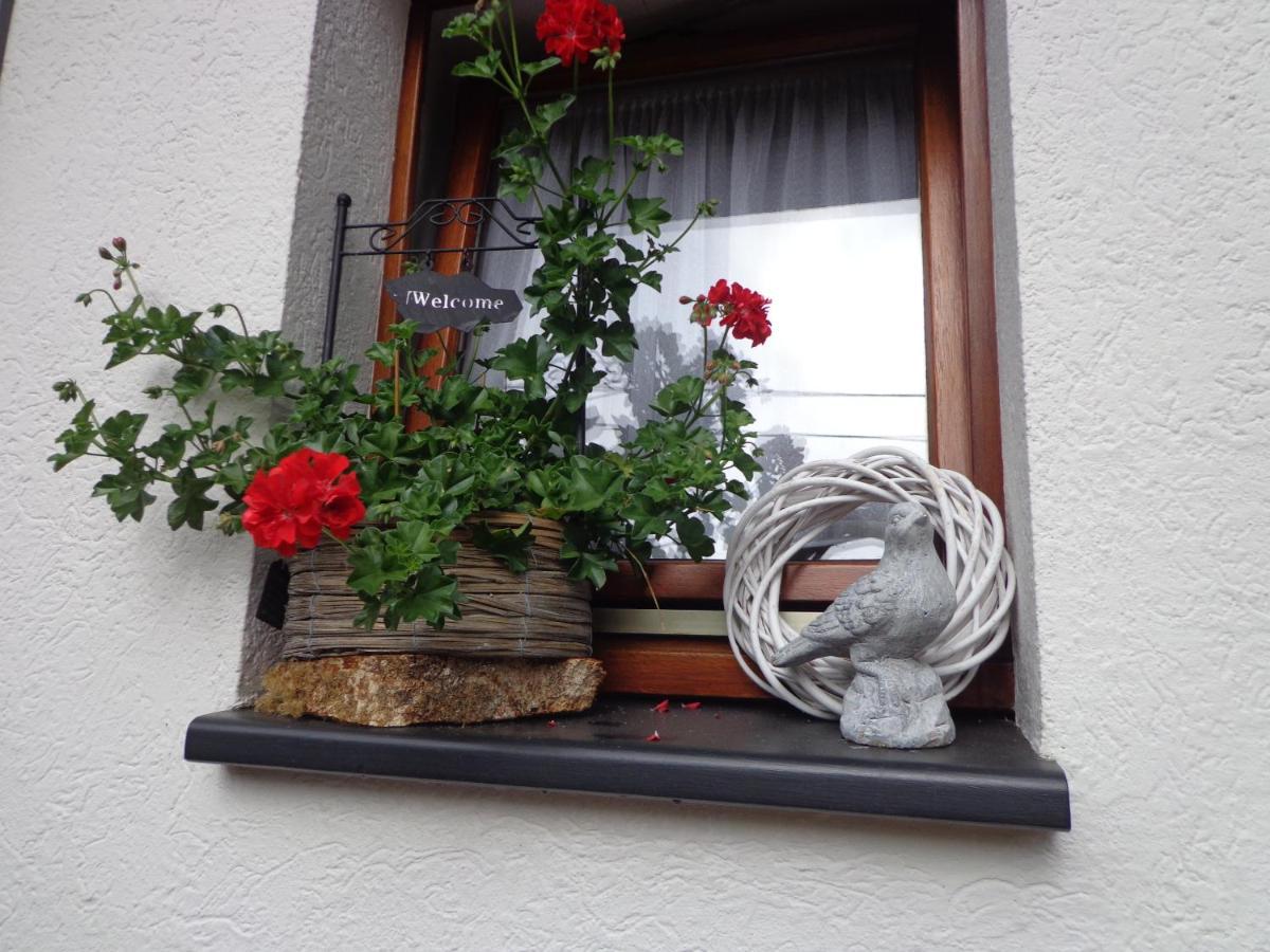 Bed & Breakfast Le Chant Du Merle *